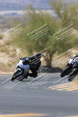 media/May-14-2023-SoCal Trackdays (Sun) [[024eb53b40]]/Turn 5 Tree of Life (1125am)/